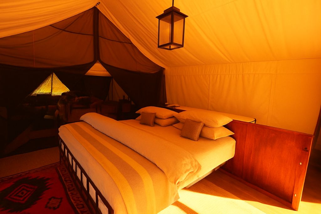 10 Best Maasai Mara Hotels & Restaurants: A Luxury Safari Guide