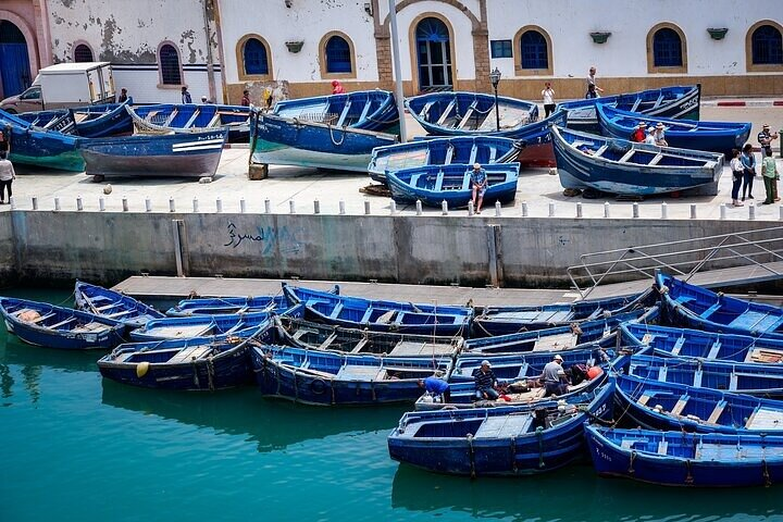 Bright blue wooden fishing boats and seagulls gathered at the historic port of Essaouira, Morocco
